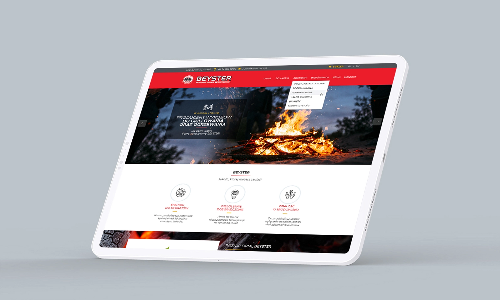 Beyster Świdnica - strona www